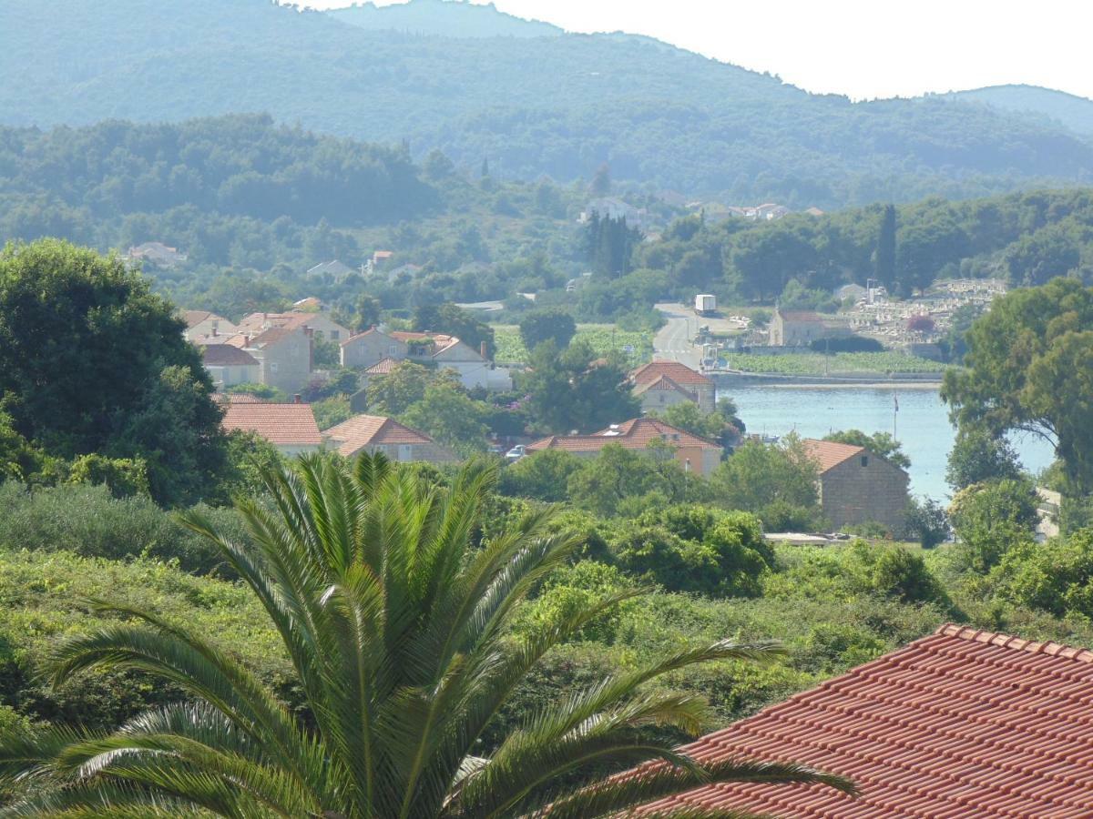 Stone House Apartment Didini Dvori Lumbarda Bagian luar foto